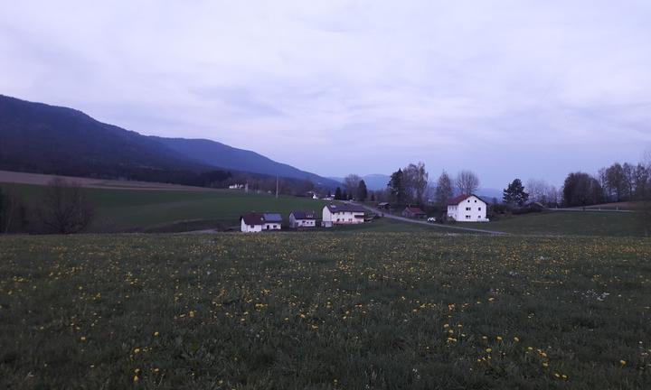 Gasthaus-Pension Fechter